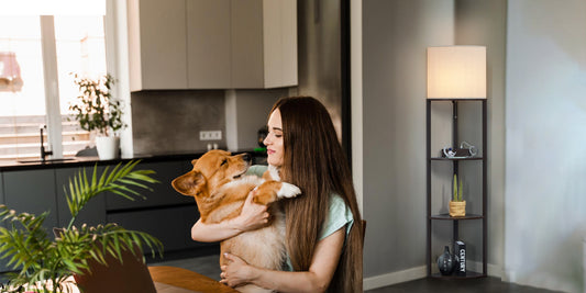 Green Lighting: Eco-Friendly Corner Lamps and Energy-Saving Bulbs