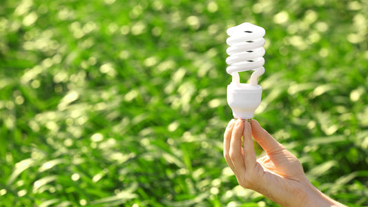 Eco-Friendly Alternatives For Decorating With LEDs This Holiday Season