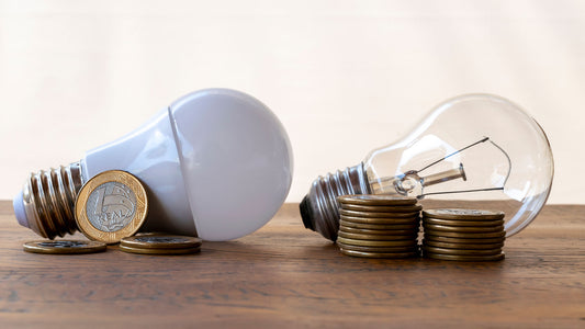How LED lights can save you money on your holiday lighting costs