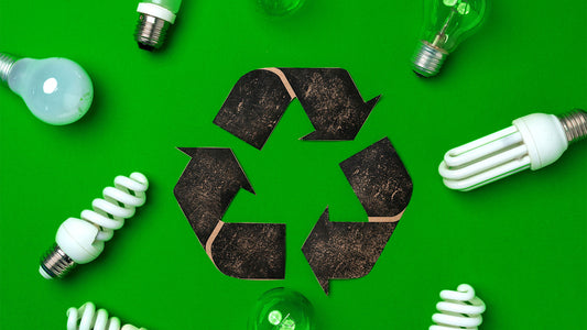 LED Lights: The Best Ways to Recycle and Dispose of Them After the Holidays