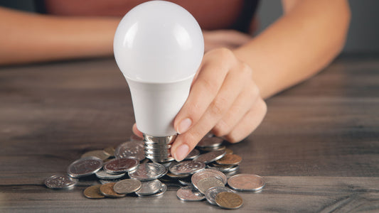 The cost savings of using LED lights for holiday lighting