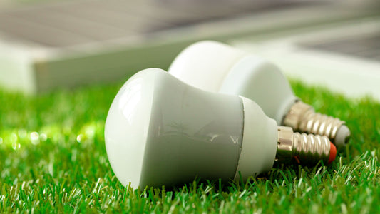 The environmental benefits of using LED lights for the holidays