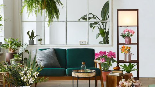 Tips for decorating with plants